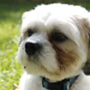 Meet your Posher, Brianne